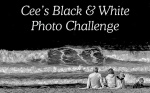 Cee's Black & White Photo Challenge