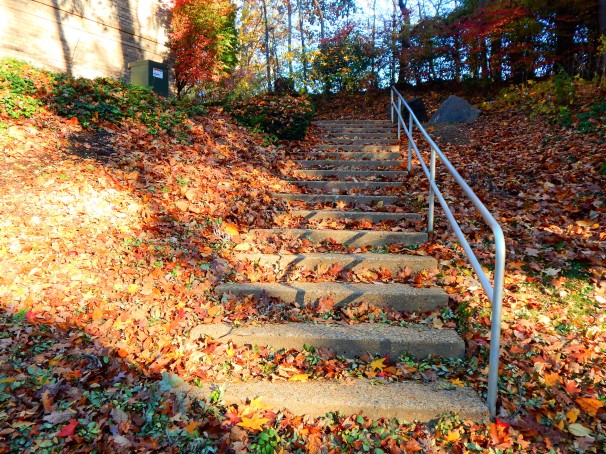 Leafy Stairway